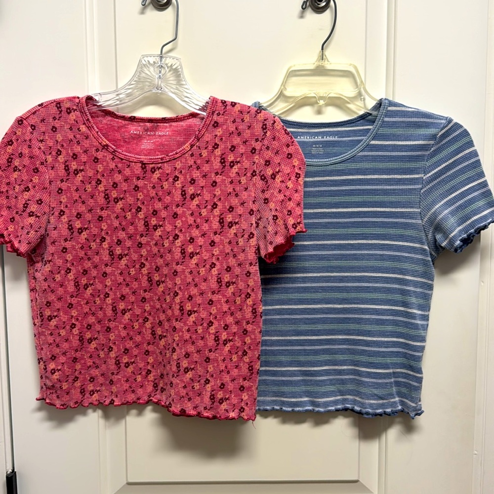 American Eagle Outfitters Pink Floral and Blue Striped Short Sleeve Tops